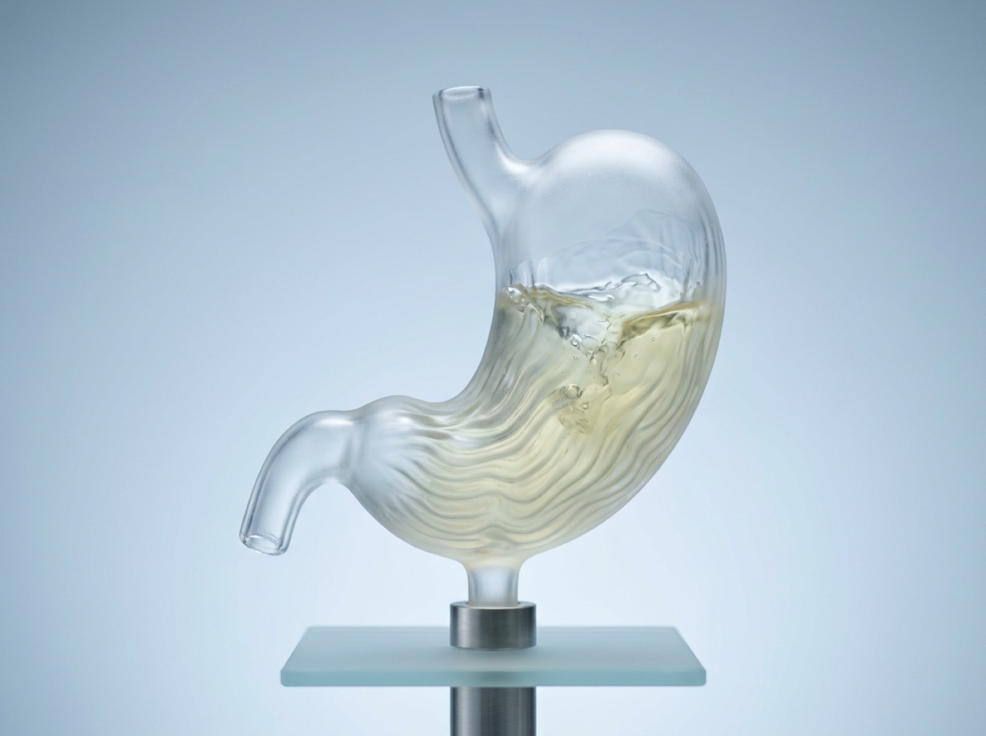 A glass stomach with swirling fluid inside and a narrow outlet at the bottom