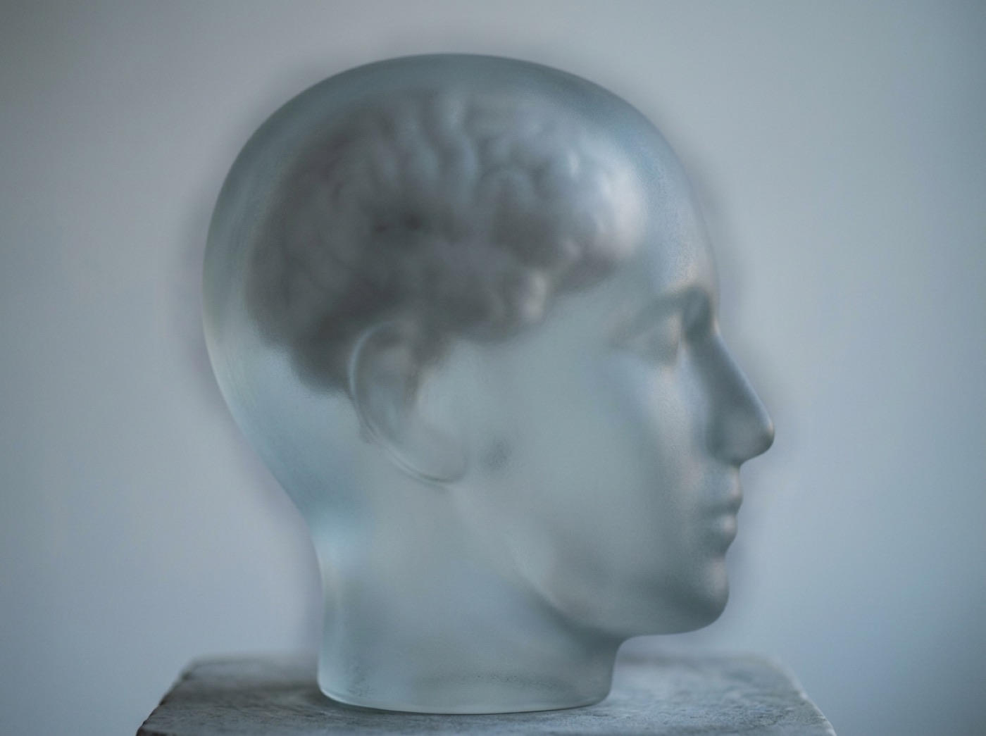 A glass head in dim dusk light, the brain inside faintly clouded